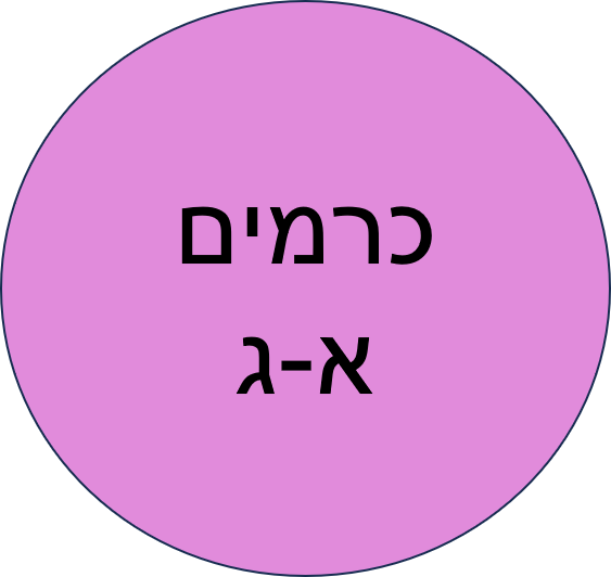 צהרון קיץ כרמים תשפ"ד