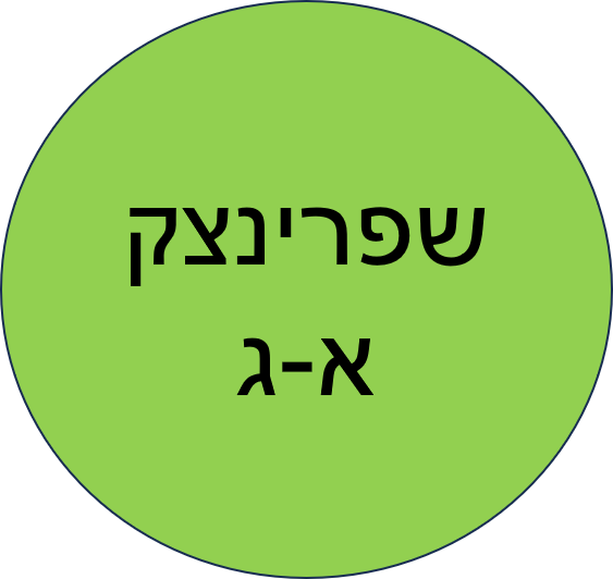 צהרון קיץ שפרינצק תשפ"ד